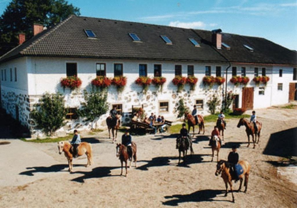 Reiterhof Stoeglehner Βίλα Rainbach im Mühlkreis Εξωτερικό φωτογραφία