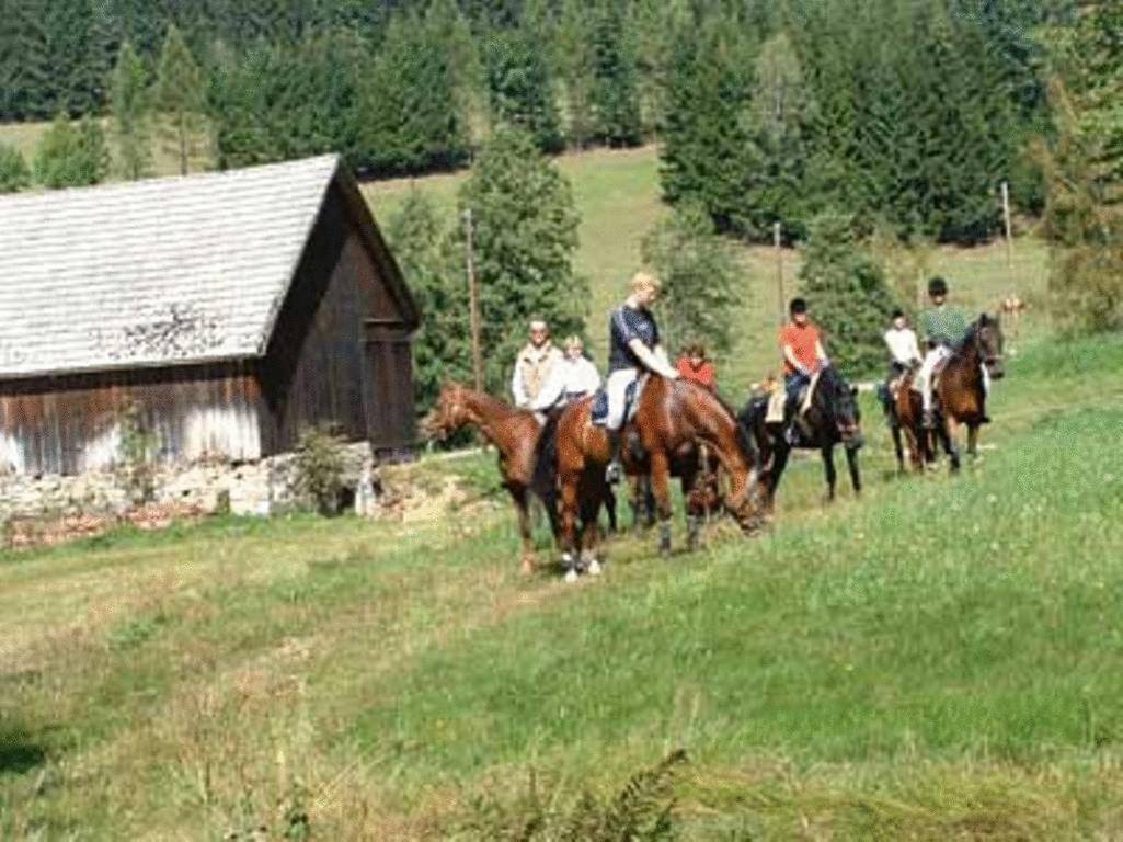 Reiterhof Stoeglehner Βίλα Rainbach im Mühlkreis Εξωτερικό φωτογραφία