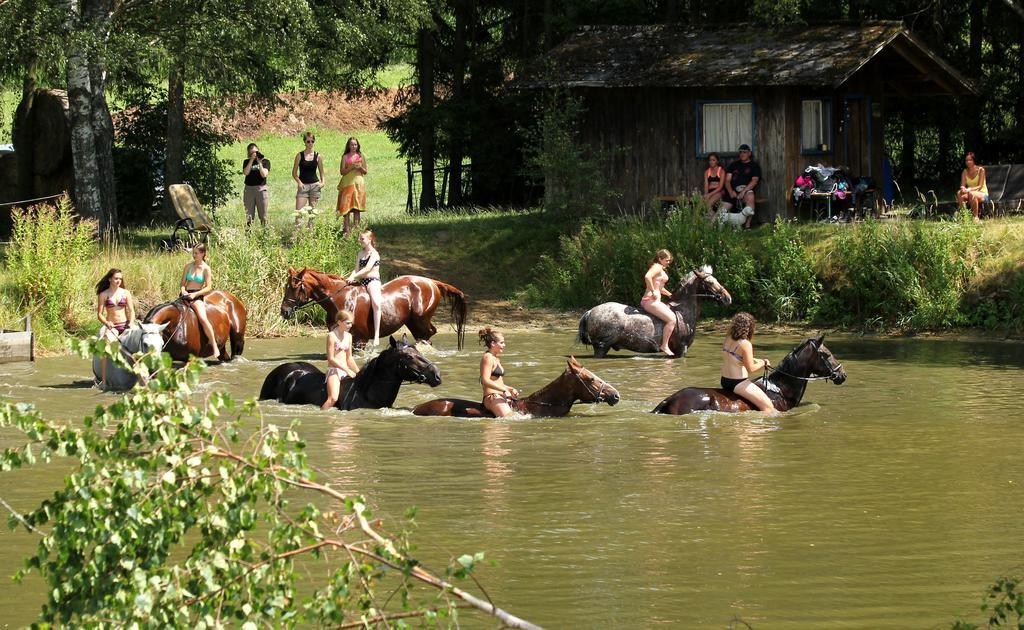 Reiterhof Stoeglehner Βίλα Rainbach im Mühlkreis Εξωτερικό φωτογραφία